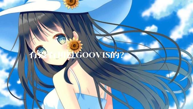 有没有用过GOOVIS的？