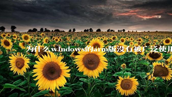为什么windows的arm版没有被广泛使用？