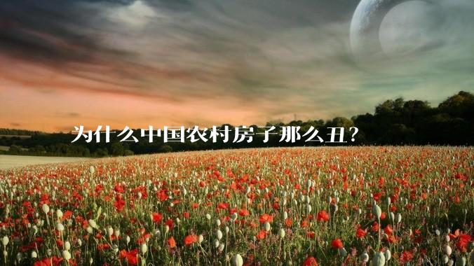 为什么中国农村房子那么丑？