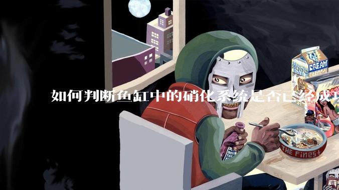 如何判断鱼缸中的硝化系统是否已经成功建立？