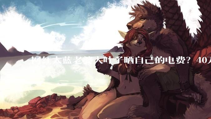 网红大蓝老婆大叶子晒自己的电费？40万每年，到底是什么概念？
