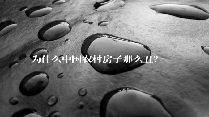 为什么中国农村房子那么丑？