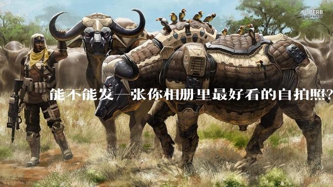 能不能发一张你相册里最好看的自拍照？