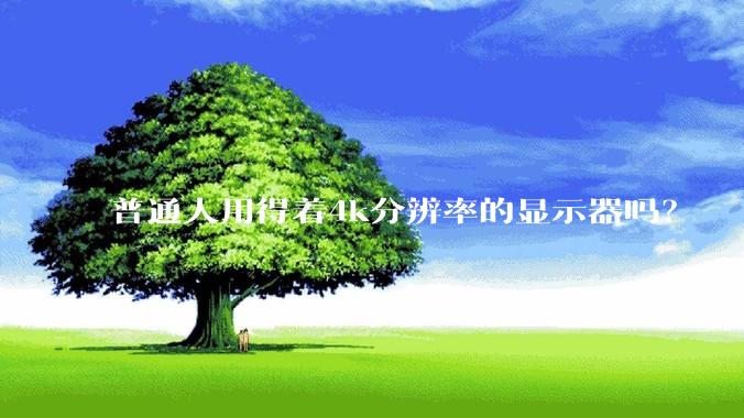普通人用得着4k分辨率的显示器吗？