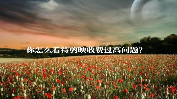 你怎么看待剪映收费过高问题？