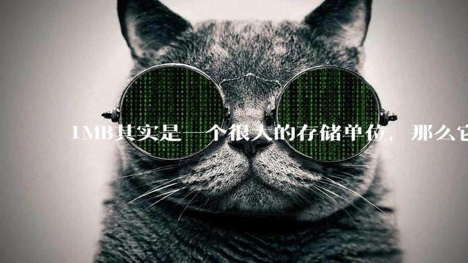 1MB其实是一个很大的存储单位，那么它的存储容量究竟有多大？