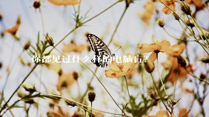 你都见过什么样的电脑盲？