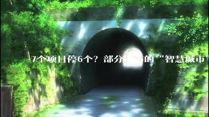 7个项目停6个？部分城市的“智慧城市”项目为啥“投入即浪费”_建设_系统_服务平台
