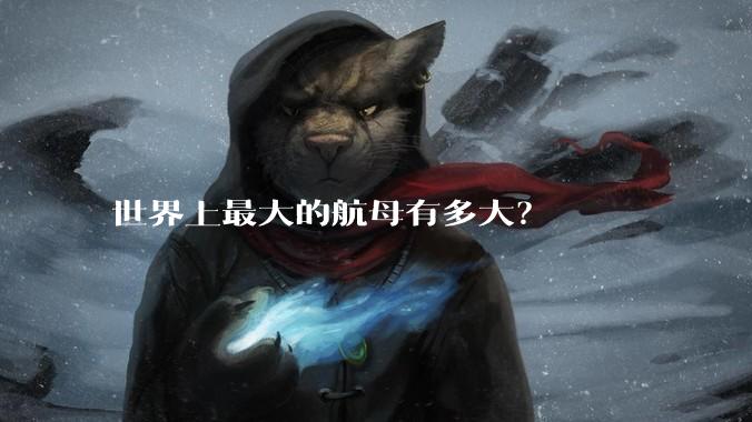 世界上最大的航母有多大？
