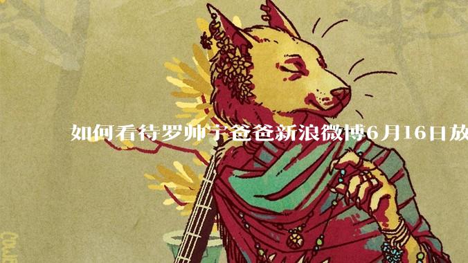 如何看待罗帅宇爸爸新浪微博6月16日放出的录音材料？