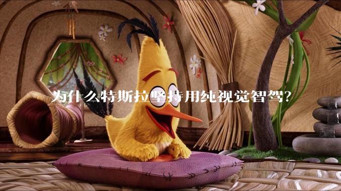 为什么特斯拉坚持用纯视觉智驾？