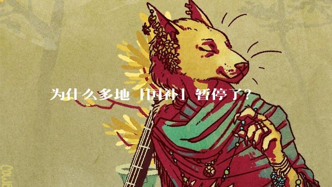 为什么多地「国补」暂停了？