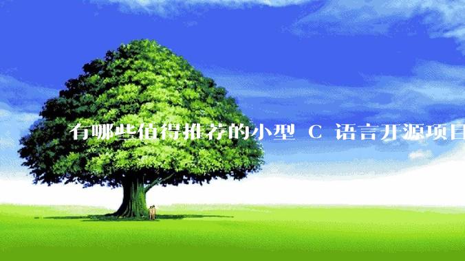 有哪些值得推荐的小型 C 语言开源项目？
