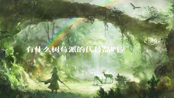 有什么树莓派的代替品吗?