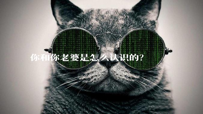 你和你老婆是怎么认识的？