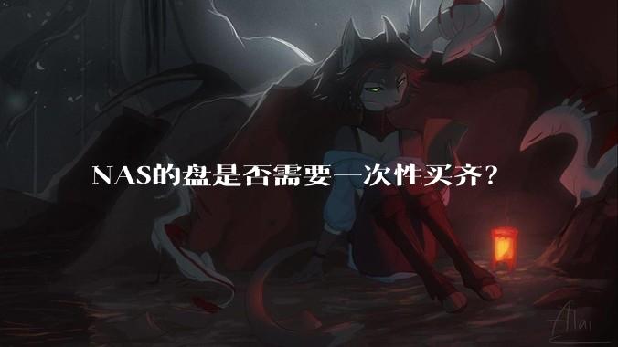 NAS的盘是否需要一次性买齐？