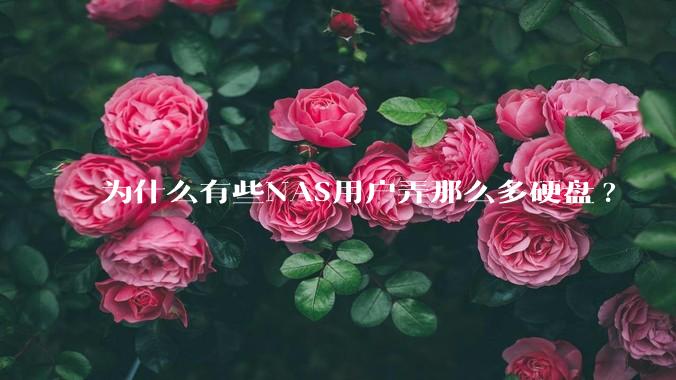 为什么有些NAS用户弄那么多硬盘?