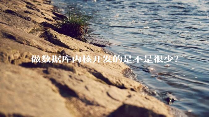 做数据库内核开发的是不是很少？