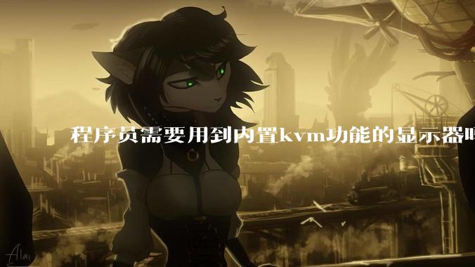 程序员需要用到内置kvm功能的显示器吗？或者是外置的kvm切换器吗？