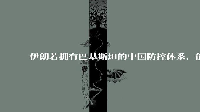 伊朗若拥有巴基斯坦的中国防控体系，能否把美国的B2轰炸机打下来？如果打下会对世界局势产生什么影响？