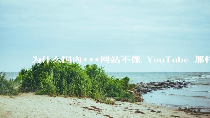 为什么国内***网站不像 YouTube 那样推荐旧***？