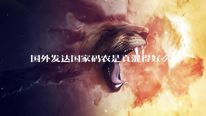 国外发达国家码农是真混得好么?